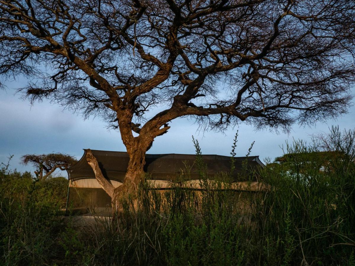 Tulia Amboseli Safari Camp Hotel ภายนอก รูปภาพ